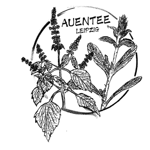 Auentee Logo mit Schriftzug - Natürliche Kräutertees aus Leipzig
